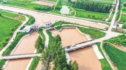 【奮進的河南 決勝“十四五”】黃河之水潤豫東 中原糧倉愈豐盈