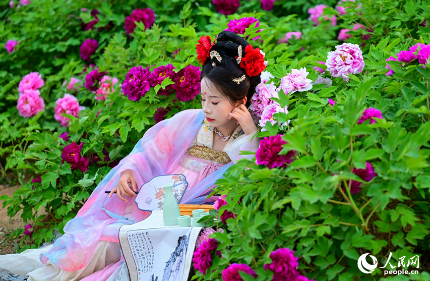 河南洛陽：唯有牡丹真國色 花開時節動京城