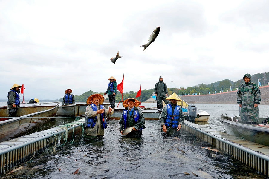 信陽市浉河區：茶鄉“蹚”出幸福路 産業“鏈”起共富經_fororder_魚躍人歡好“豐”景