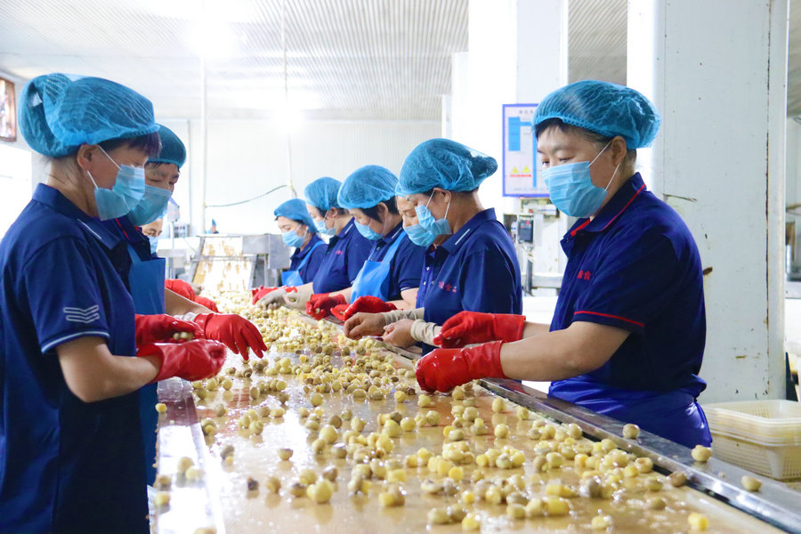 南陽西峽：民營企業衝刺上半年目標生産忙_fororder_西峽縣味緣食品有限公司員工正在加工銷往歐洲的香菇産品 攝影 王小軍.JPG