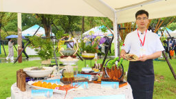 河南南陽舉辦藥膳大賽 22組選手共烹仲景養生宴