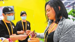 【第八屆中國國際進口博覽會】在“四葉草”裏河南深度連結世界