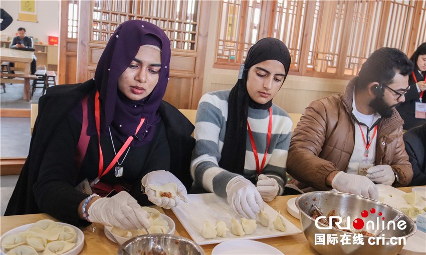 仲景奇遇記正式啟幕 外國青年、網絡達人開啟探訪南陽中醫藥之旅_fororder_微信圖片_20251113131713_37_77