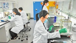 三年突圍 種業向新 中原農谷超有看頭