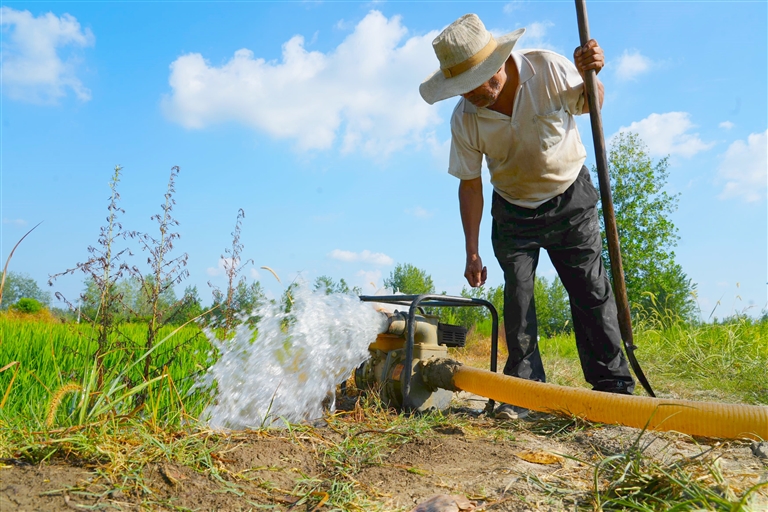 遭受六十四年一遇極端高溫乾旱“烤”驗 抗旱保秋 河南夠拼