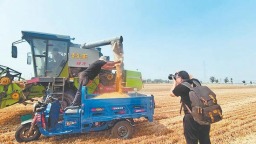 開封市440.37萬畝小麥收割完畢