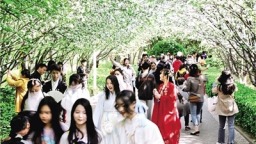 春風攜信 海棠有約 鄭州市第十六屆海棠文化節啟幕