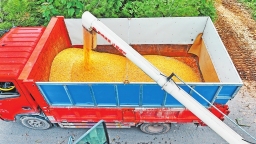 為中原糧倉裝上法治安全閥