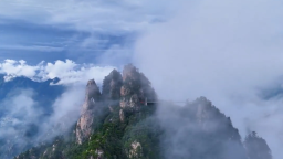 南陽老界嶺：雨後雲海入畫來_fororder_微信截圖_20250825180143