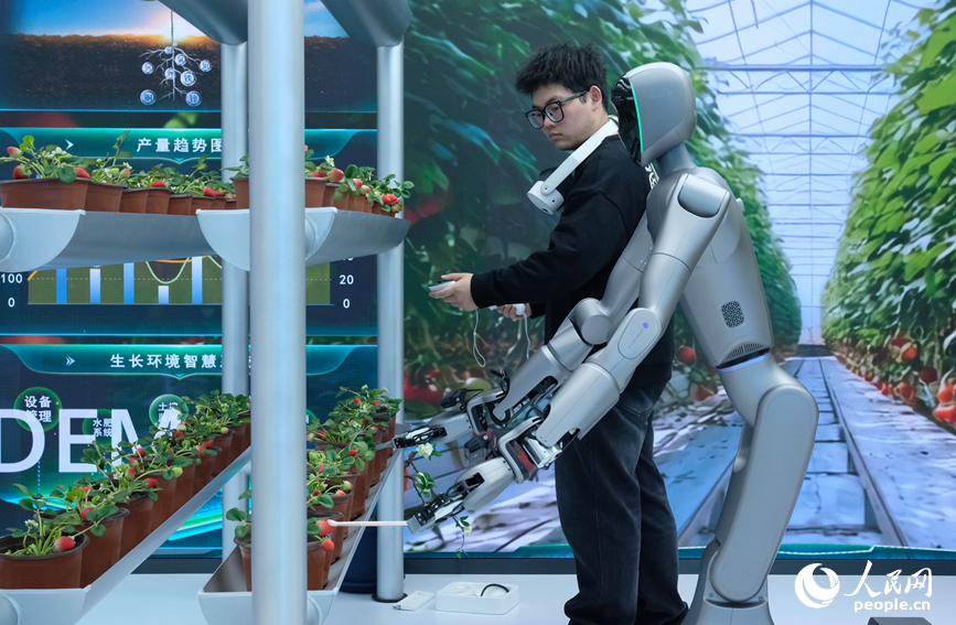 鄭州機器人訓練場：讓“出廠新手”變“崗位能手”_fororder_LOCAL1773197660996VR8B35ZU7H