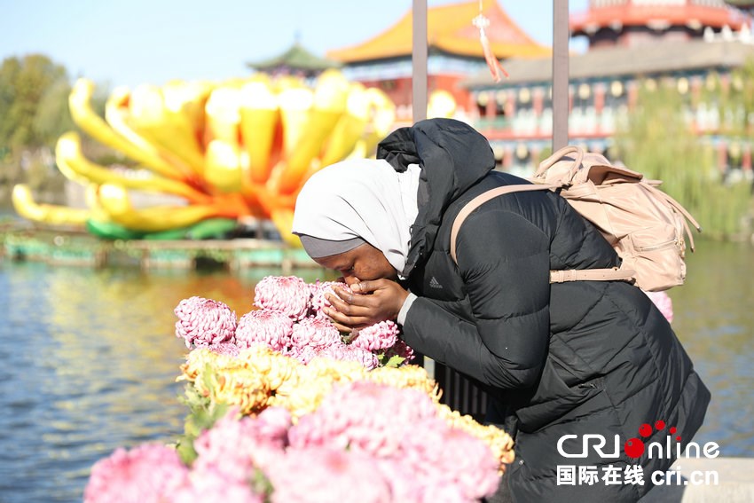 【2025打卡中國】外國網紅“創作魂”燃了!集體“入坑”中國書法拓印