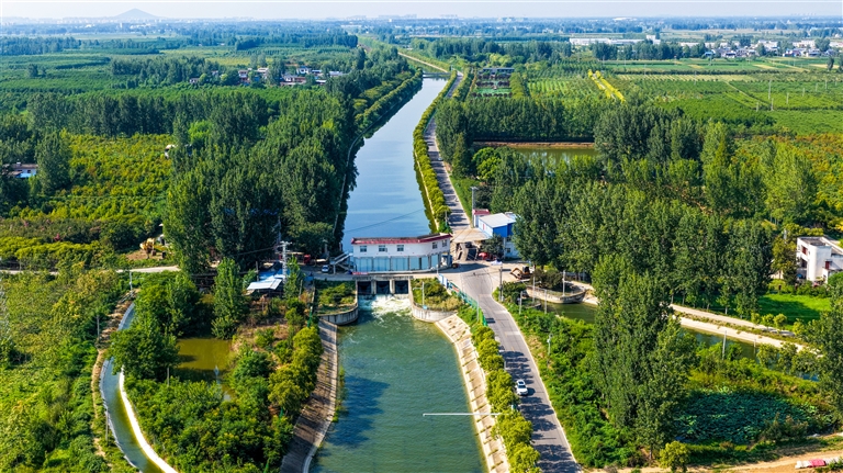 遭受六十四年一遇極端高溫乾旱“烤”驗 抗旱保秋 河南夠拼