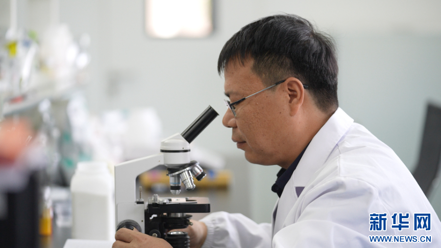 中國夢·大國工匠篇 | 井金峰：“業精於勤，貴于專”