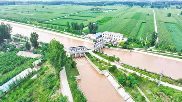 【奮進的河南 決勝“十四五”】黃河之水潤豫東 中原糧倉愈豐盈_fororder_2