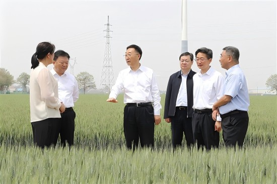 河南省委書記劉寧到焦作市溫縣、孟州市調研_fororder_20250427書記替換圖_s