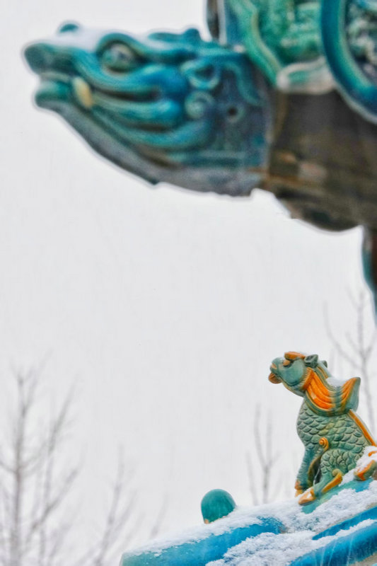 Z視覺 | 落雪覆飛檐 這份中式浪漫藏不住了_fororder_b7c754f651a043cd968a7ccf76bec4a6