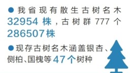 圖片默認標題