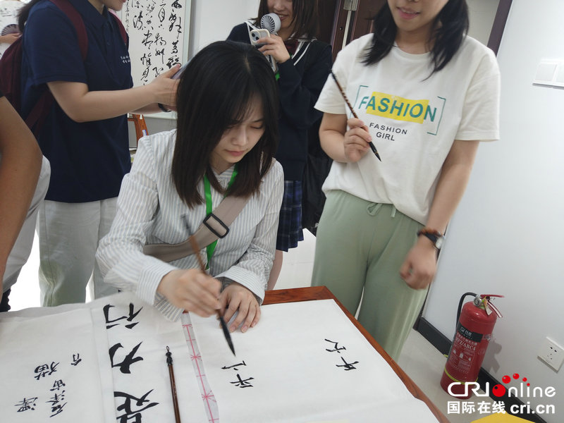 中日青少年共話青春友誼 體驗非遺魅力_fororder_微信圖片_20250528153523