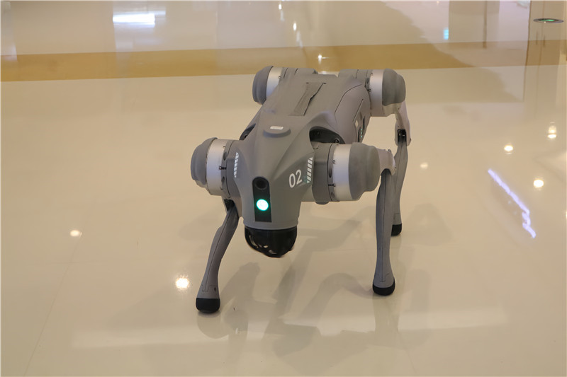 宇樹科技河南首店落地鄭州 引領科技消費熱潮_fororder_機器狗