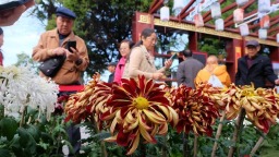 中國開封第43屆菊花文化節啟幕 邀海內外賓朋品宋韻菊香