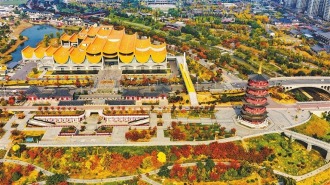 運河秋韻丨鏡頭裏的河南