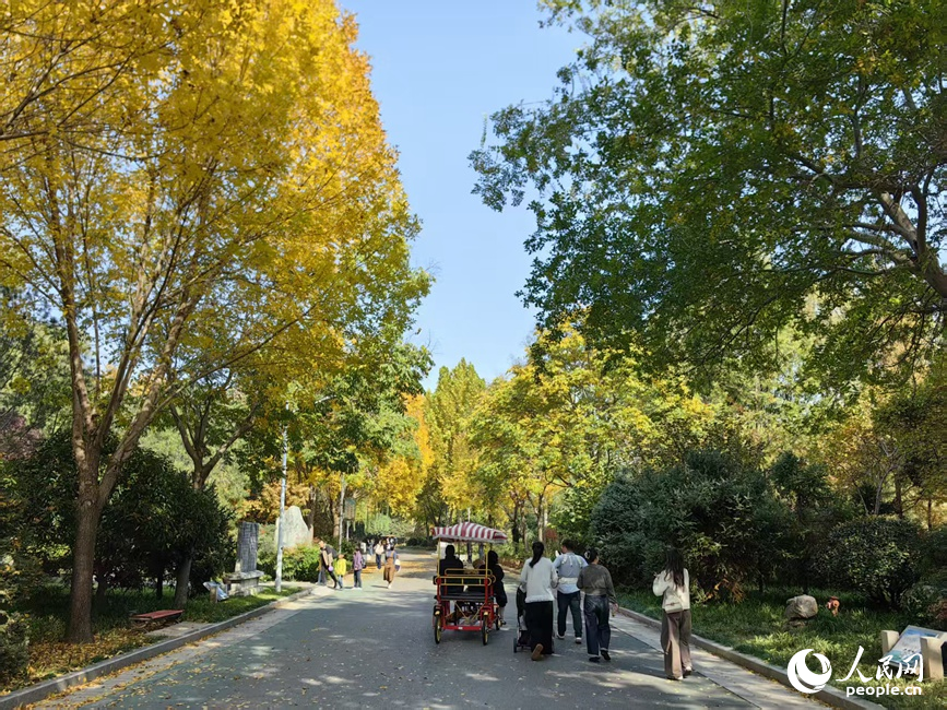 紅黃交織美景 河南鄭州賞秋正當時