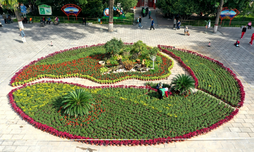 河南安陽:迎國慶主題花壇驚艷亮相_fororder_圖片7