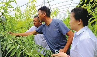 工商銀行河南省分行：做實做細“五篇大文章” 精準服務河南經濟高品質發展