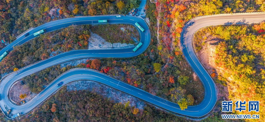中原初冬蘊詩意