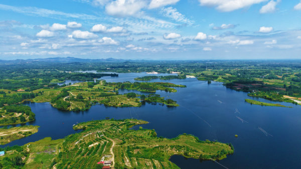 南陽市臥龍區：高品質發展譜寫現代化建設美好畫卷