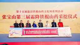 張寶山第三屆霜降鐵棍山藥採挖儀式舉行