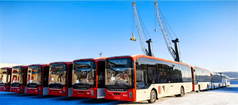 透視豫股“中考成績單”