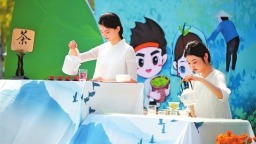 從“淮南茶 信陽第一”到“國潮頂流” 信陽毛尖憑啥冒尖