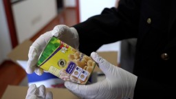 “上車”即“登船” 豫西南貨物出海實現“公海直運”