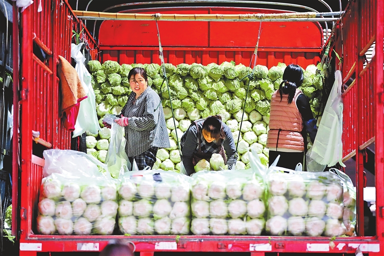 市場承壓價格普漲三成以上 河南如何穩住“菜籃子”