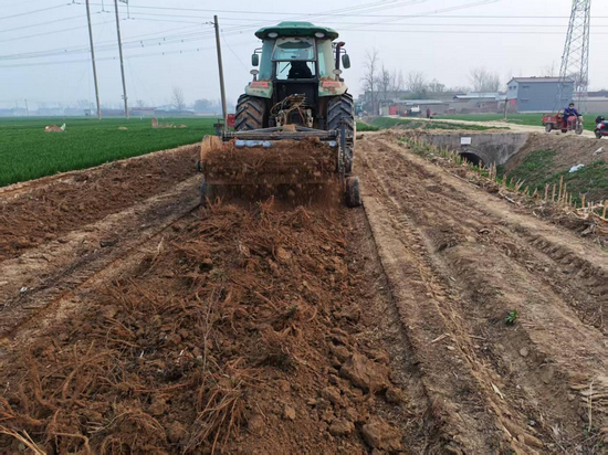 開封杞縣平城鄉:套種模式鋪就共富路_fororder_圖片2