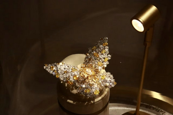 2025培育鑽石産業大會在鄭州啟幕_fororder_微信圖片_2025-12-08_084432_237