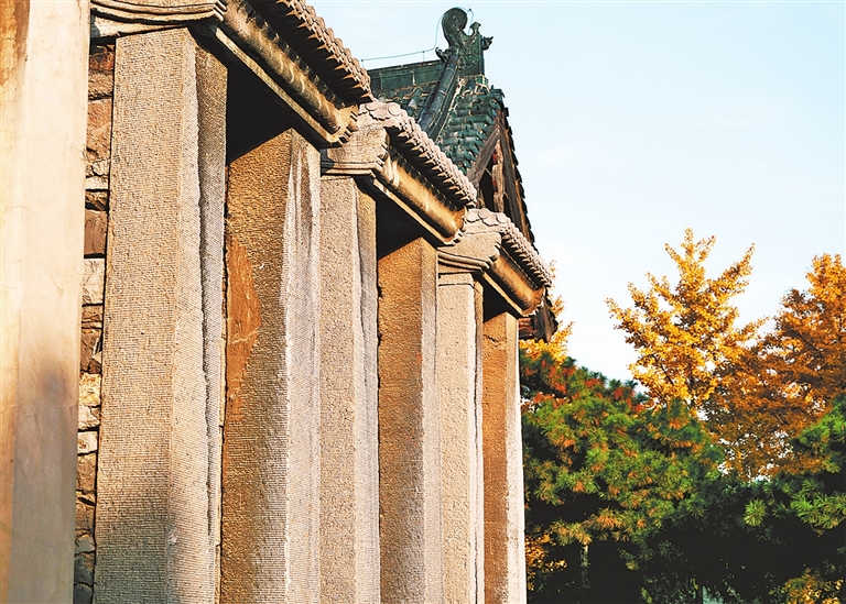 運河秋韻丨鏡頭裏的河南