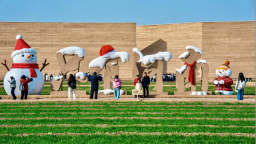 建業文旅年味濃 解鎖新春新體驗