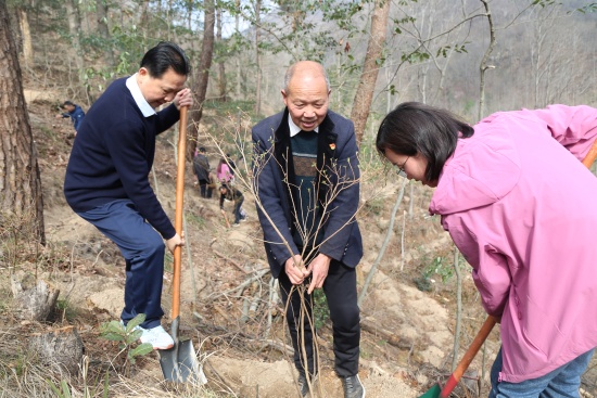 信陽市新縣：“植”此新綠 共赴春光_fororder_英雄山黨支部、連康山事務中心黨支部植樹活動（王麗君 攝）