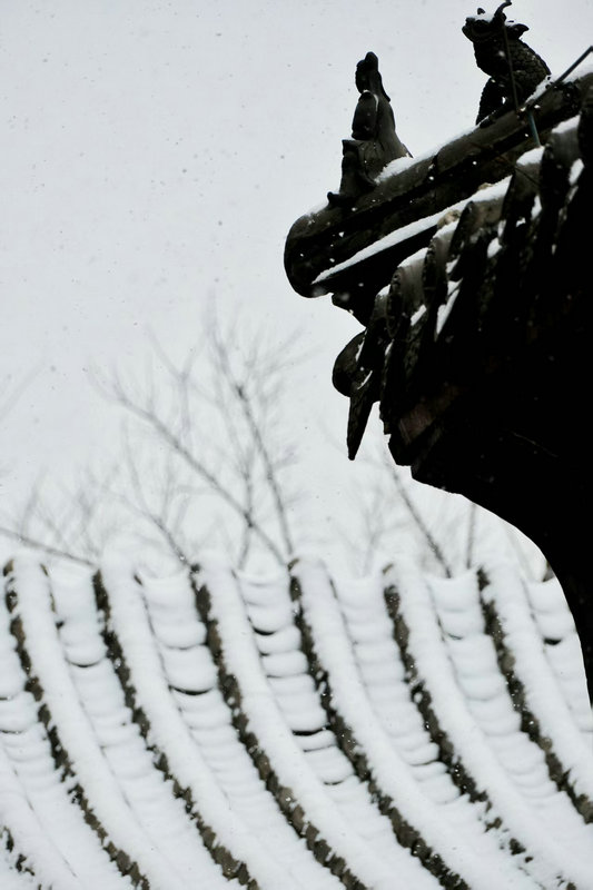 Z視覺 | 落雪覆飛檐 這份中式浪漫藏不住了_fororder_572129a2f16c44aebb6faa5066984a16