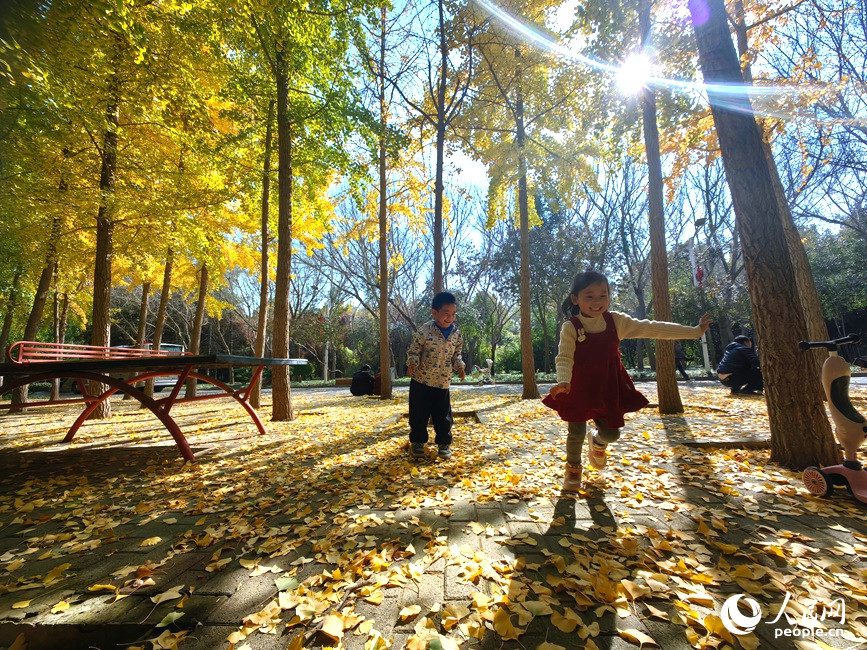 紅黃交織美景 河南鄭州賞秋正當時