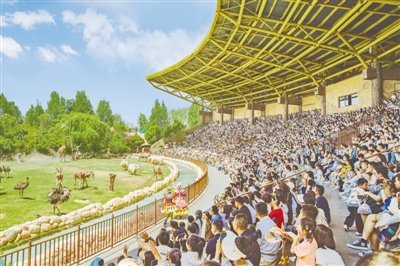 水光山色與人親——“五一”假期鄭州文旅市場魅力無限