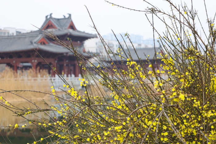 古城春色入畫來_fororder_654235_700x700