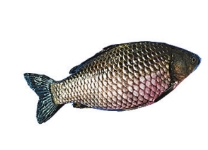 河南如何做好魚産業