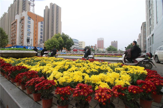【B】平頂山市衛東區：四十萬餘盆鮮花扮靚街頭