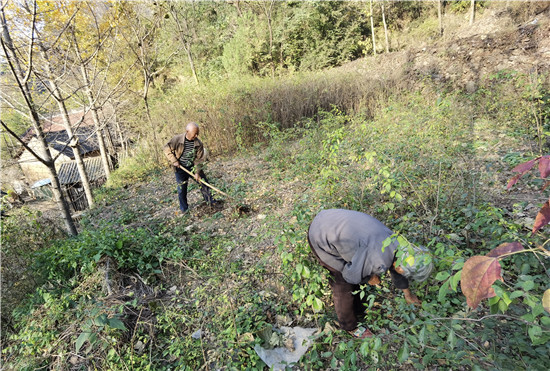 平頂山市魯山縣堯山鎮：珍珠花樹富村民
