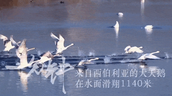 【視頻-圖片】微視頻丨三門峽一分鐘