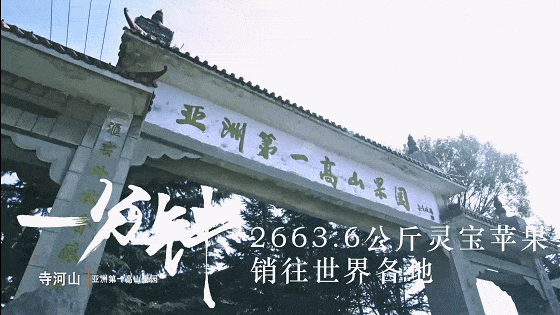【視頻-圖片】微視頻丨三門峽一分鐘