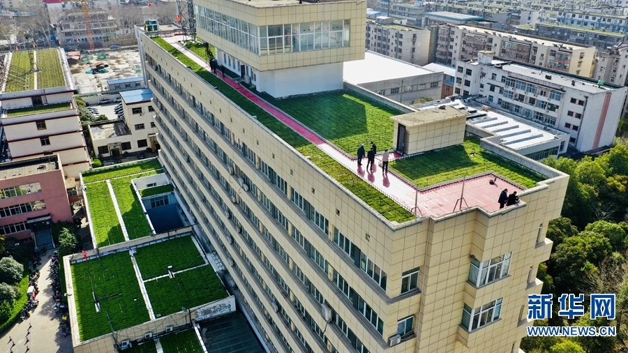 【城市遠洋】【焦點圖-大圖】【移動端-輪播圖】平頂山市：“空中綠地”節地又環保